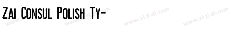 Zai Consul Polish Ty字体转换